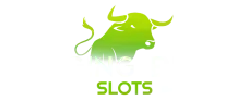 https://static.casino-bonus.club/wp-content/uploads/2024/01/Raging-Bull-Casino-Slots-Logo.webp