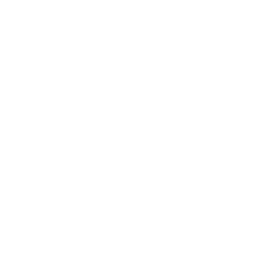 Mint Bingo