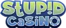 Stupid Casino