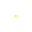 Planet 7 Casino
