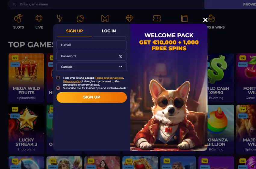 corgislot casino new player login